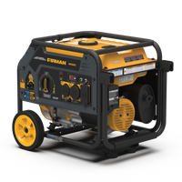 FIRMAN® Dual Fuel Portable Generator 3650W Recoil Start #H03652