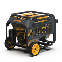 FIRMAN® Dual Fuel Portable Generator 3650W Recoil Start #H03652