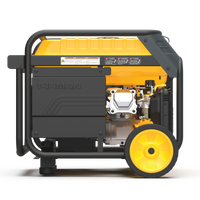 FIRMAN® Dual Fuel 4550W Portable Generator Electric Start with CO Alert #H03654