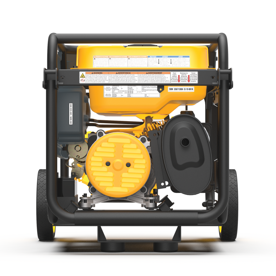 FIRMAN® Dual Fuel 4550W Portable Generator Electric Start with CO Alert #H03654