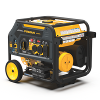 FIRMAN® Dual Fuel 4550W Portable Generator Electric Start with CO Alert #H03654