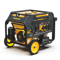 FIRMAN® Dual Fuel 4550W Portable Generator Electric Start with CO Alert #H03654