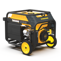 FIRMAN® Dual Fuel 4550W Portable Generator Electric Start with CO Alert #H03654