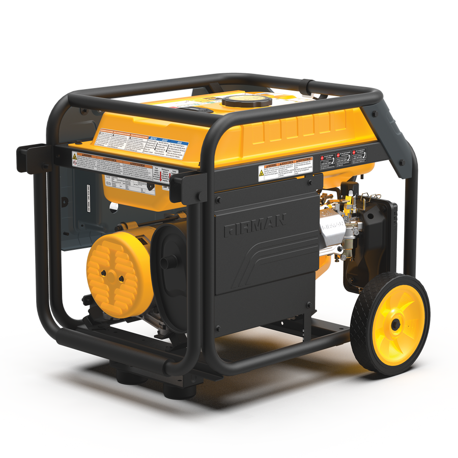 FIRMAN® Dual Fuel 4550W Portable Generator Electric Start with CO Alert #H03654