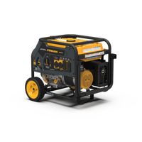 FIRMAN® Dual Fuel 5700W Portable Generator Recoil Start 120/240V #H05752