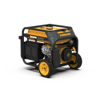 FIRMAN® Dual Fuel 5700W Portable Generator Recoil Start 120/240V #H05752