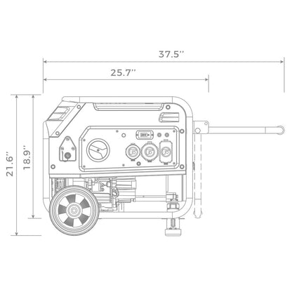 FIRMAN® Dual Fuel Portable Generator 3650W Recoil Start #H03652