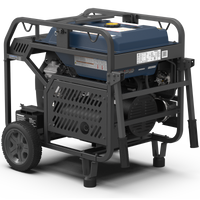 FIRMAN® Tri Fuel Portable Generator 15000W Electric Start 120/240V With CO Alert #T12071
